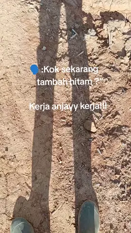 #storykuli #storykerja #masukberandafyp #euclyptus #fyppppppppppppppppppppppp 