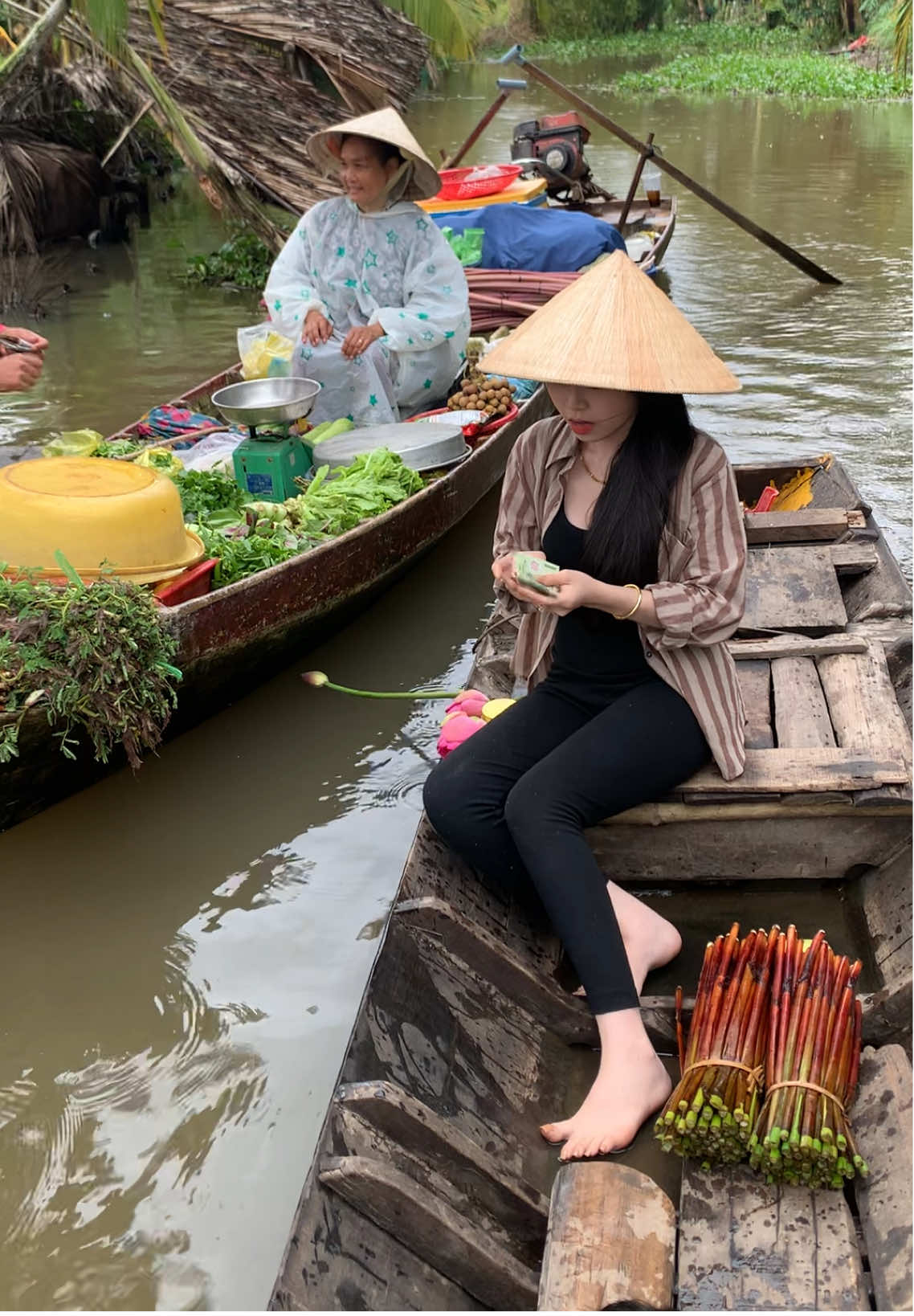 #hạmộc #mientay #95haugiang #xyzbca #xhhhhhhhhhhhhhhhhhhhhhhh 