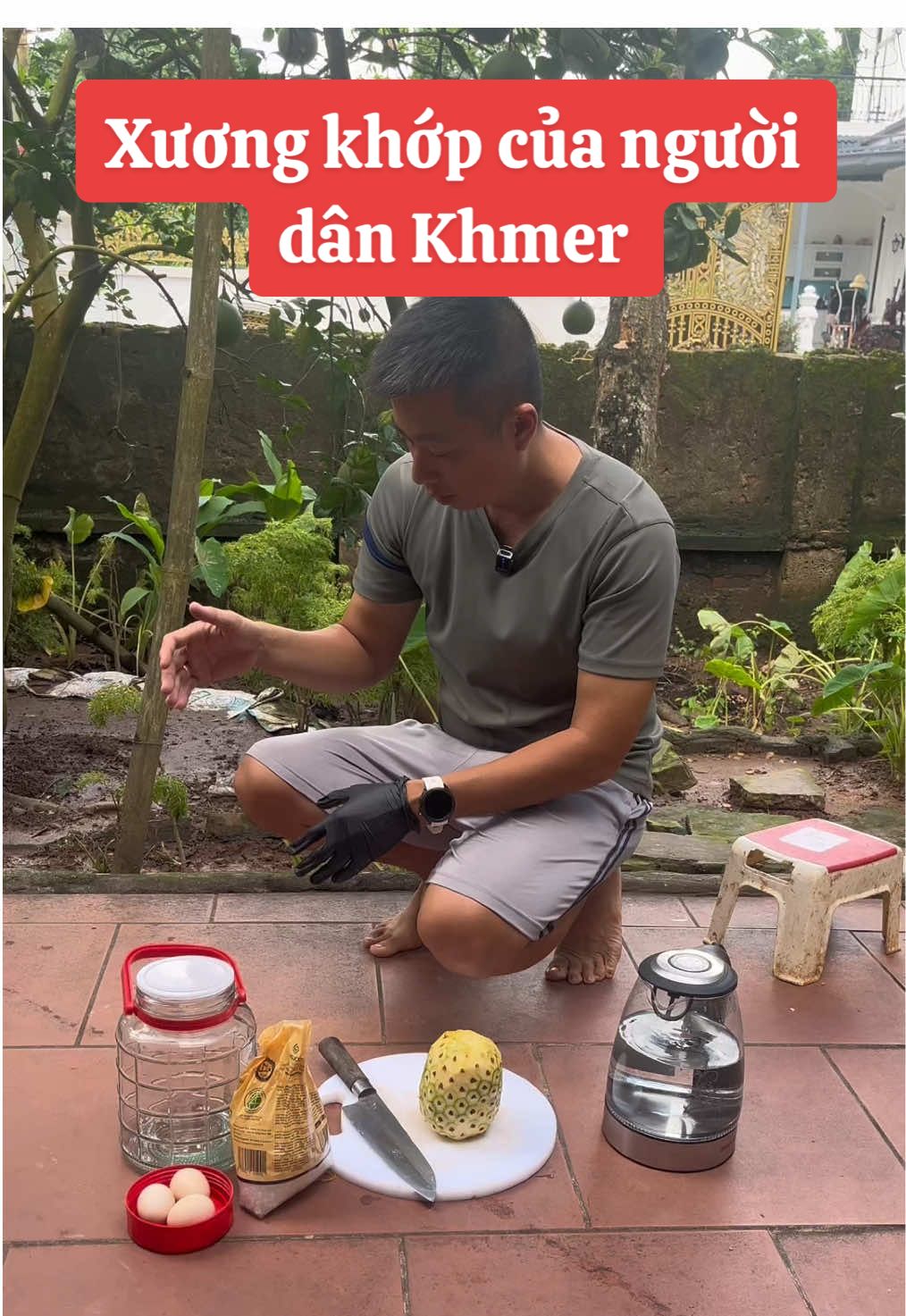 Dứa (khóm) kết hợp với 3 quả chứng gà và 200g đường phèn 2l nước lọc đun xôi để nguội ngâm vào hũ 14 ngày dùng chữa xương khớp 