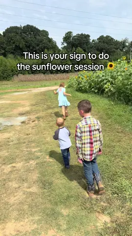 Grandparents edition 🥺🫶🏻 #sunflower #session #photographs #fyp 