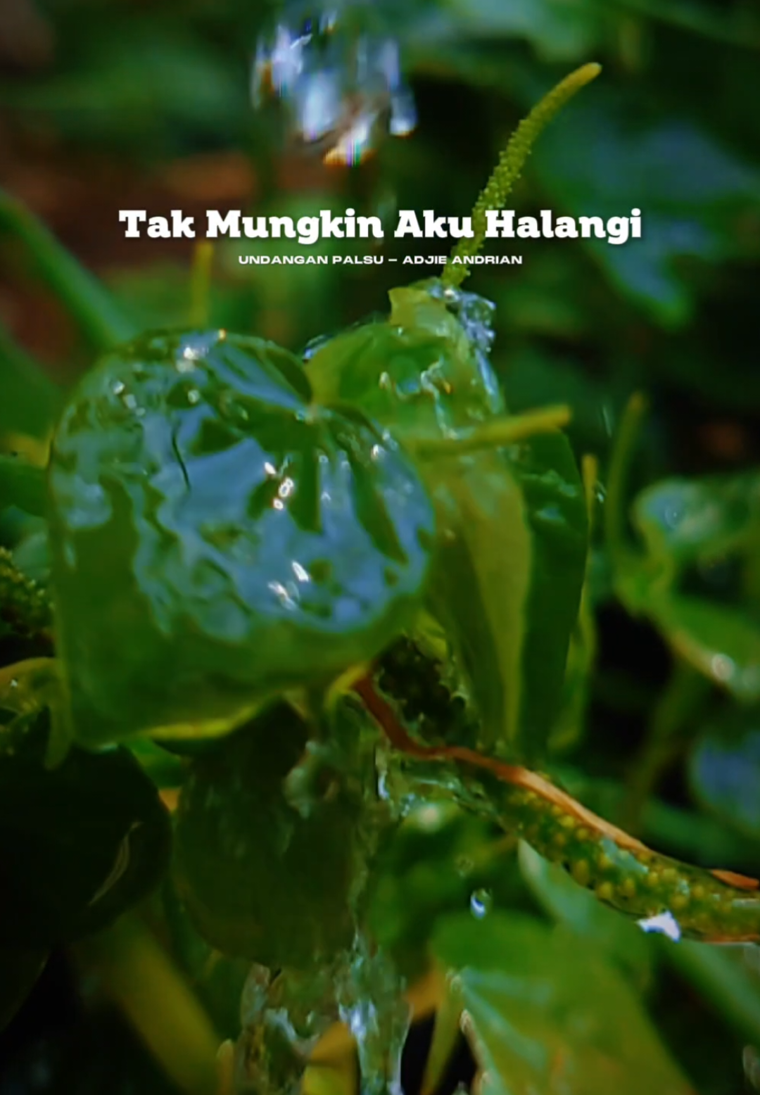 #CapCut Sungguh Hatimu Tiada Perduli #Undanganpalsu #Ajieandrian #lirikvideoestetik #lirikvideo 