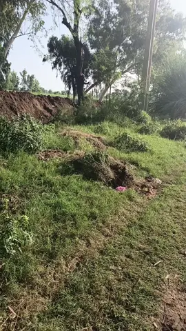 #masahallah❤️💕❤️ #masahallah❤️💕❤️ 