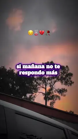 ###parati #solocontinido🖤 #seguimeparamasvideos💖 #amigostiktok 