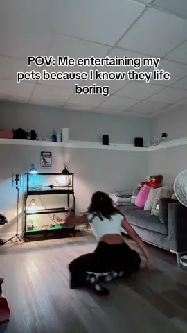 Hope they appreciate me🤧 #dance #pets #bored #entertainment 