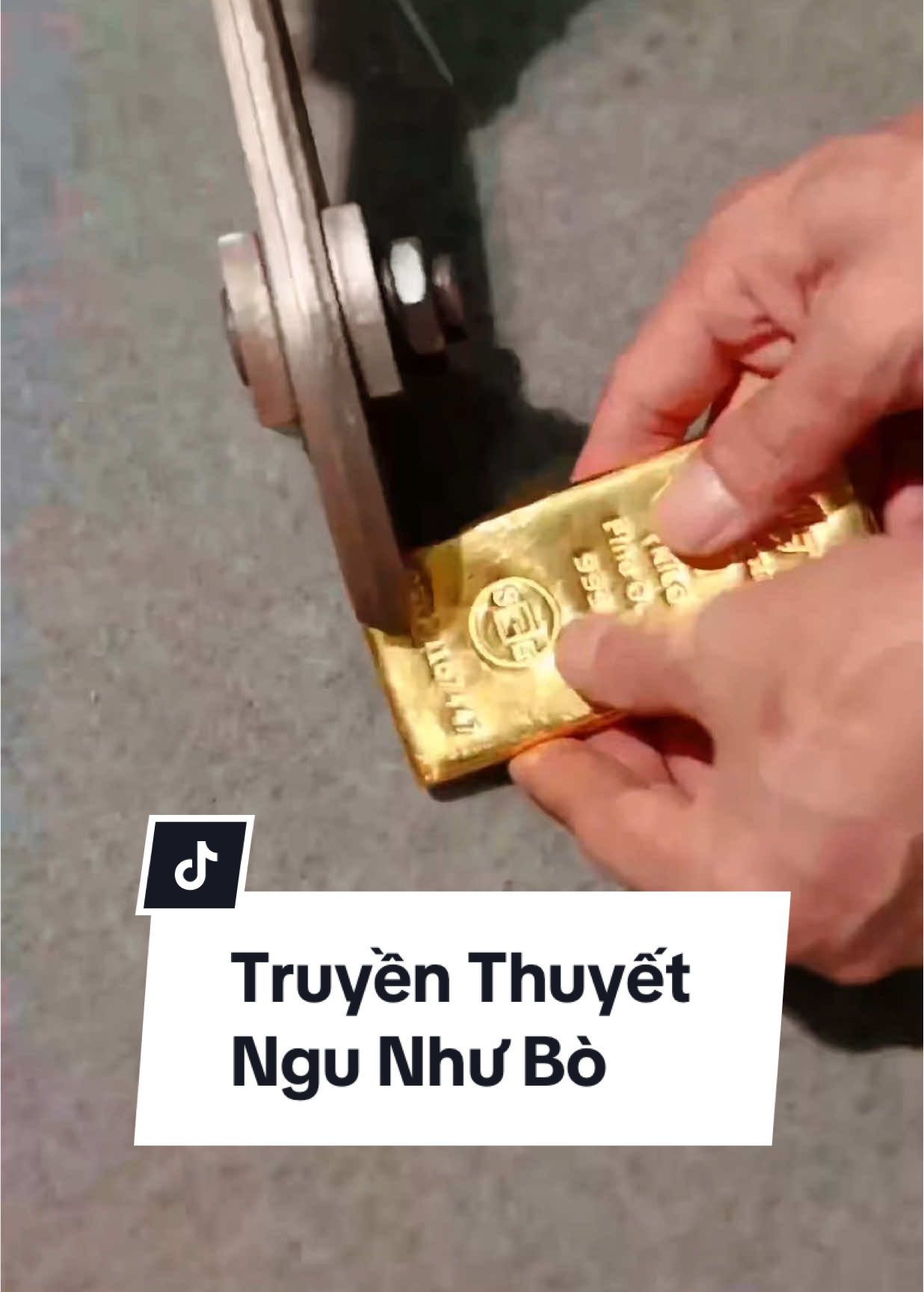 Truyền Thuyết Ngu Như Bò #congtyvangbacgiabao #jewelry #gold #xuhuong #trending 
