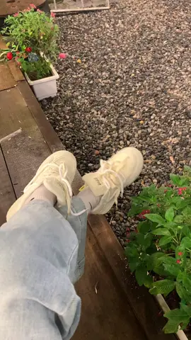 Giày tua rua vừa nữ tính vừa cá tính à 😜😜😅😍😍😍#vairal #xuhuong #xuhuong2025 #giàythểthao 