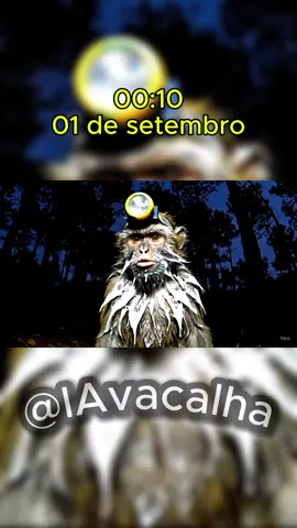 No fap september começou tropa!!🐒💦#nofapsetember 