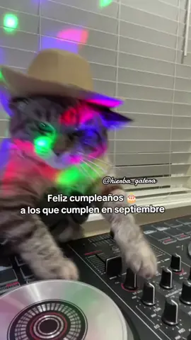 Feliz cumpleaños 🥳🎂 #septiembre #felizcumpleaños #virgo #libra #gatos 