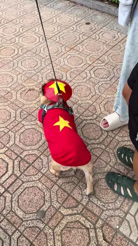 Chú cún HOT nhất đường Thanh Niên 😍