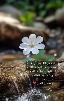 #صباح_الخير #اصبحنا_واصبح_الملك_لله #اللهم_هب_لنا_نفوسا_راضية🤲🏻 
