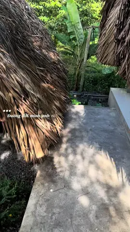 Ai mà không tổn thương 💔.#tamtrang #viral #fyp #xh #stt_buồn_tâm_trạng 