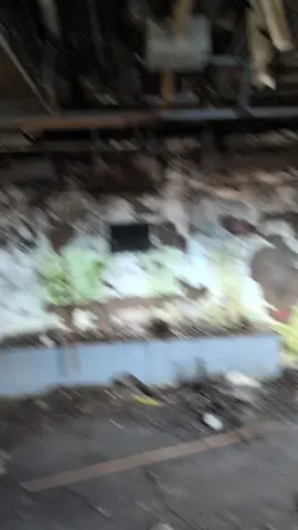 Burned-out cells… crooked guards… could you last five minutes, much less 23 hours a day? 😈 This is Scott State Prison — where the walls still whisper. Full walkthroughs dropping daily. Follow Cajundecay on TikTok + YouTube for the uncut story.