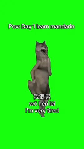 学华语也是累 #mandarin #mandarinsong #mandarinchinese 