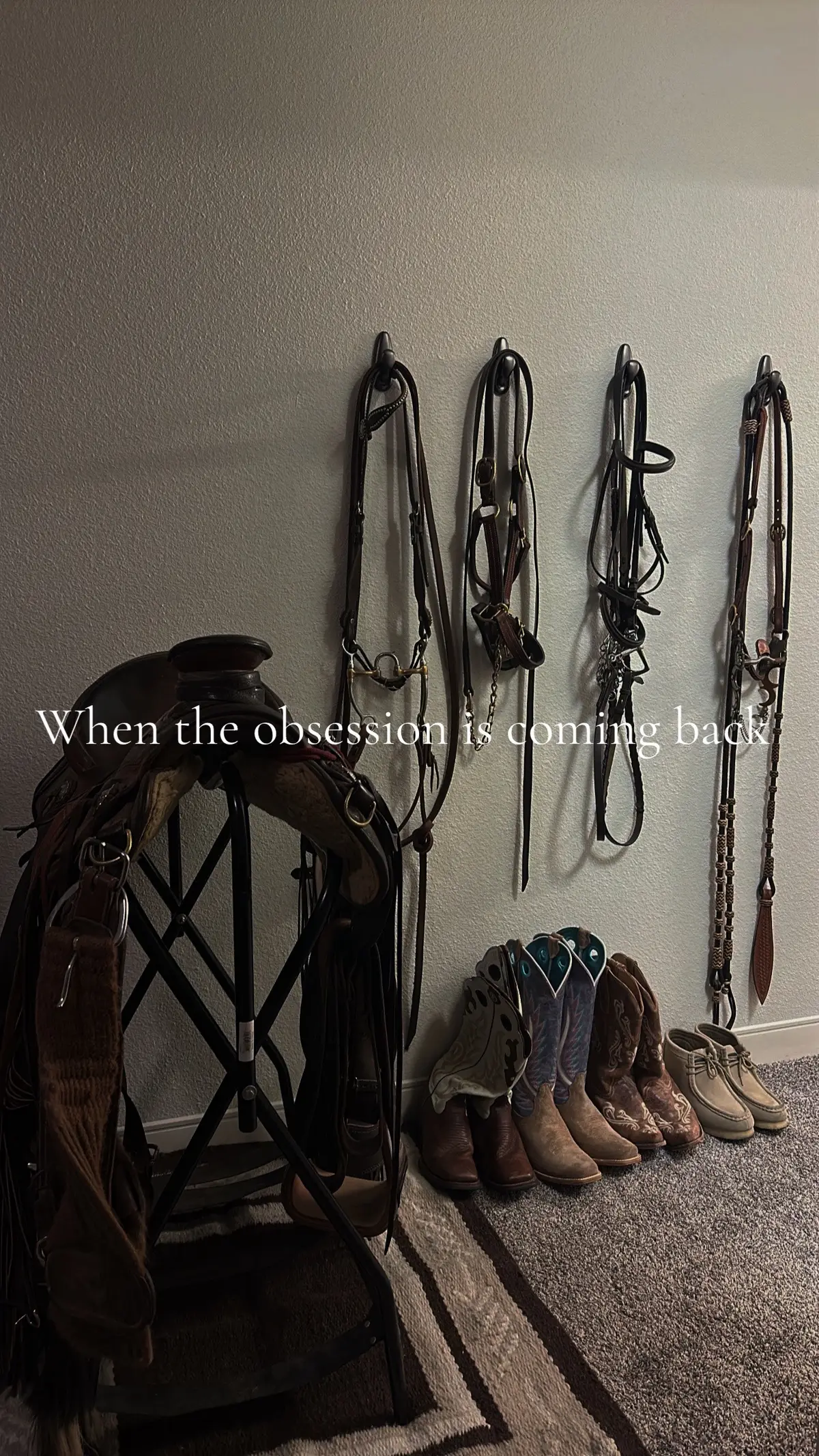 But boy I can feel that obsession coming back, it’s like an itch under the skin. She’s back  #horsetok #crazyhorsegirl #westernwomen 