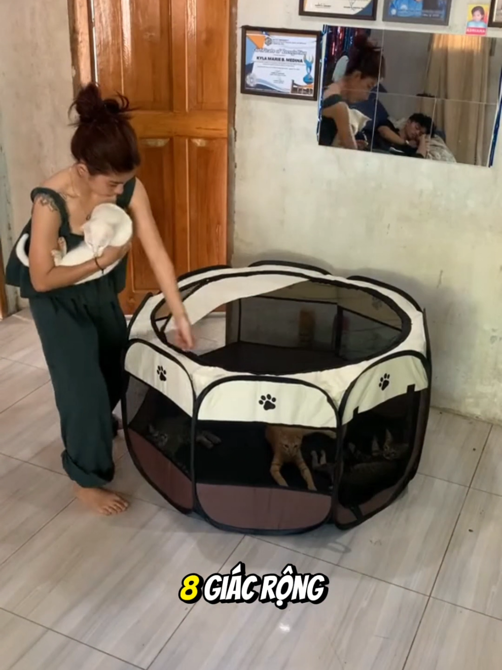 Lều bát giác cho mẹ con mèo. #thucung #meo 