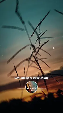 Con đường ta bước chung...