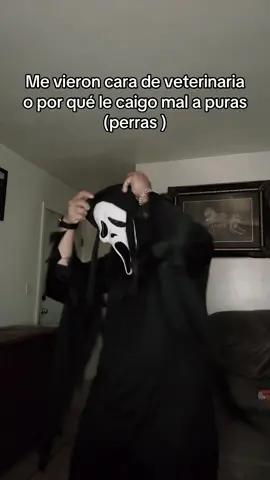 ???? #fyp #parati #ghostface #humor #sigueme 