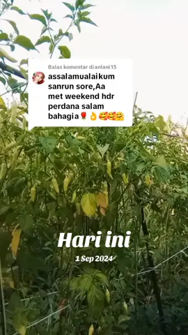#padahariini