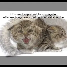 Trust. #vent #trust #trauma #ptsd