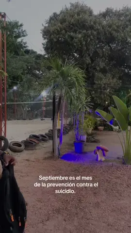 de mi, para mi y todos. ❤️‍🩹 #Viral #1deseptiembre #paratii #gracias 