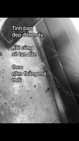 H và P từng rất thân#xh #suy #buon 