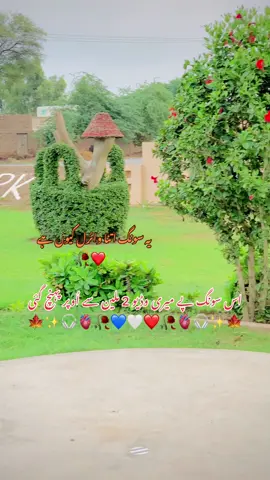 مینوں گھر بلوا کے کر سٹیا تئیں بشر بے😰✨#foryou #fvp #alizainking5033  #اساں__رکھی__اے__کھیڈ__خدا__تے  @ملک مزمل 