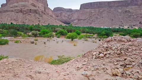 #حضرموت دوعن ليسر 