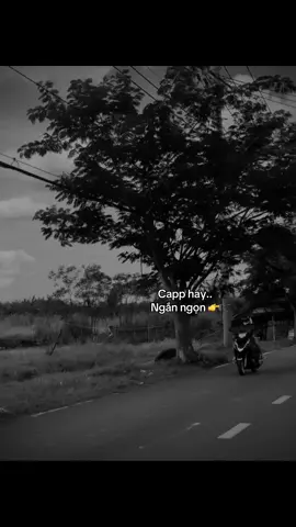 #lovestory #motminhcoonkhong #bannhacbuonbb #tamtrang 