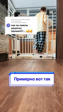 Ответ пользователю @user53401872610868 #fluffy #fluffypomeranian #tinyvinny #teacupdogs 