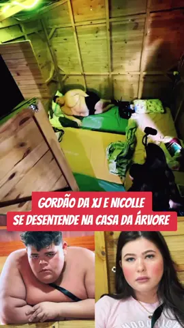 #carlinhosmaia #gordaodaxj #niicolealves 