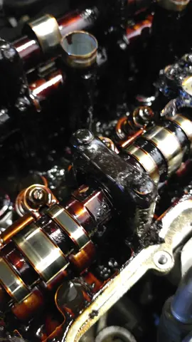 customer was wondering why his car was running rough #honda #200k #sludge #mechanic 