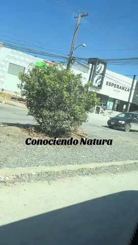 Conociendo natura 🫶🏻 #tijuana #natura #aventura #paseo 