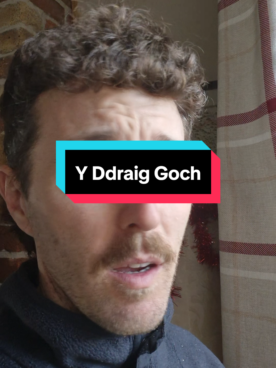 The Red Dragon #Wales  #cymru 