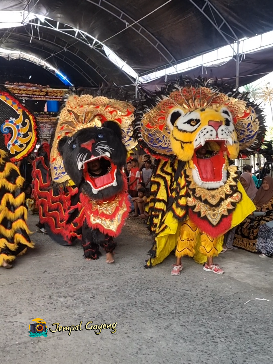 Barongan Ngamuk #putroturonggosamudro #keseniandemak #barongandemak #baronganmacan #jempolgayeng 