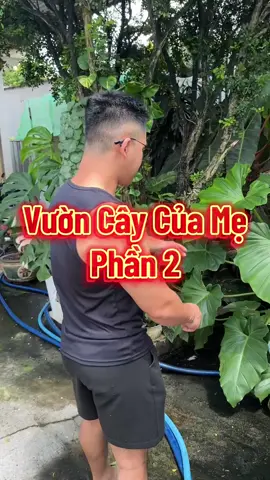 Phần 2 có rồi 🥰 #TropicalCorner #plants #mommy #garden #viral @Vy 