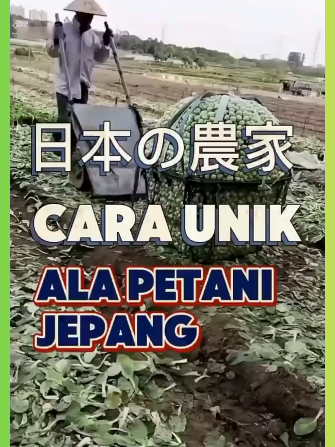 Ide kreatif ala petani jepang