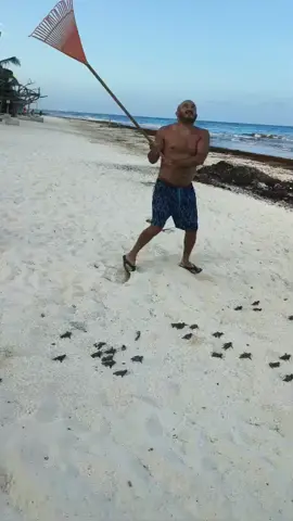 #cuidando tortuguitas #playa 