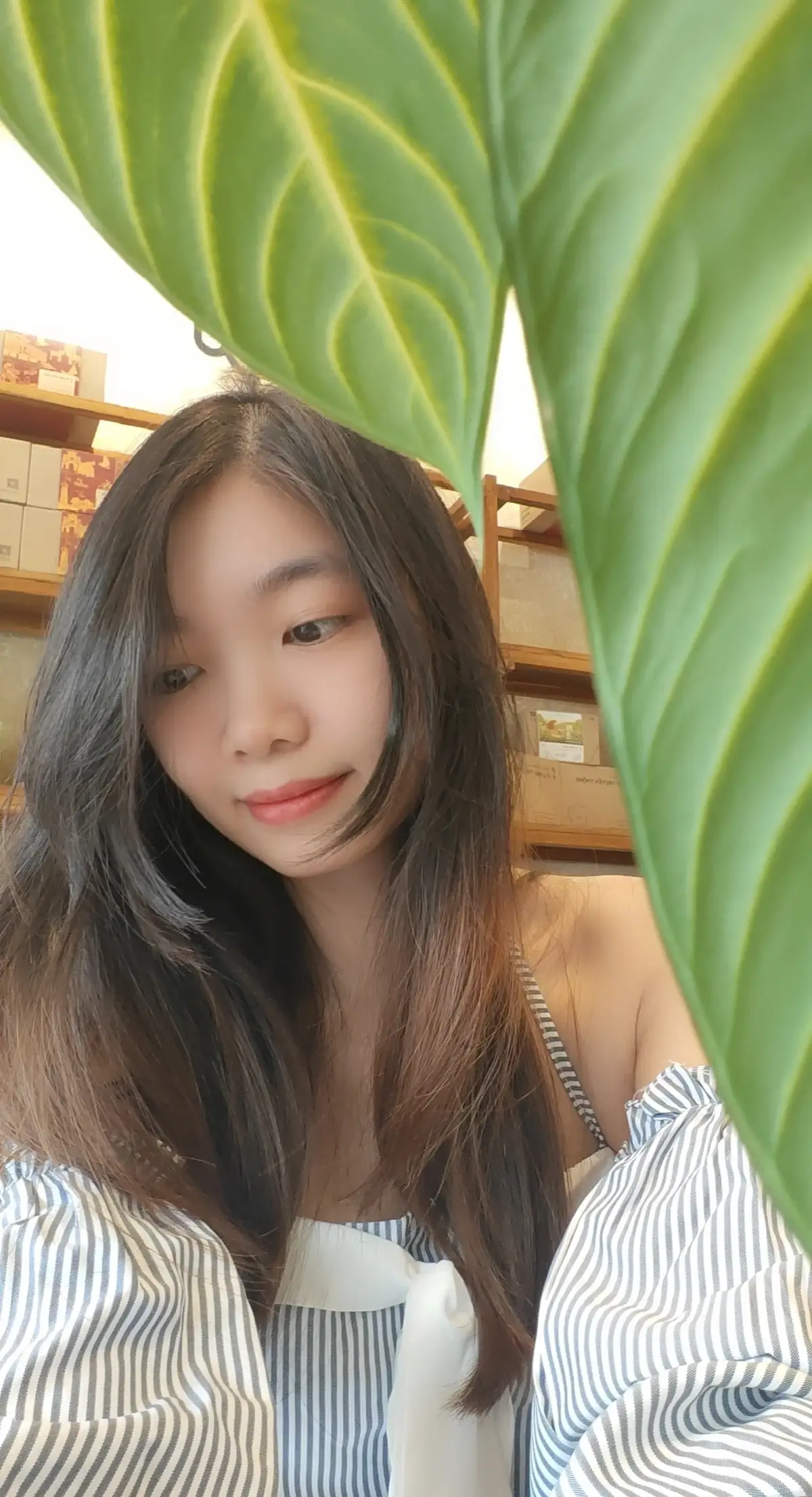 Hóa thân thành bạch nguyệt quang của ai đó