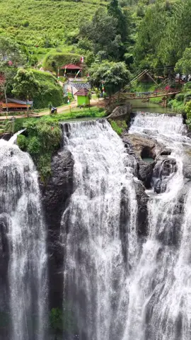 Curug Cikandong Curug Cikondang adalah air terjun dengan curug dengan aliran yang deras, Curug Cikondang juga memliki julukan Niagara mini versi bumi Parahyangan, hal itu karena bentuknya yang melebar sepanjang 30 meter dengan tinggi mencapai 50 meter. Bagi yang punya adrelin tinggi, bisa coba canyonneering, Canyoneering, juga dikenal sebagai canyoning atau kloofing, adalah olahraga petualangan yang menggabungkan berbagai teknik seperti hiking, berenang, melompat, dan rappelling (menuruni tebing dengan tali) untuk menjelajahi ngarai alami yang sering kali dipenuhi aliran air dan air terjun.  Aktivitas ini menuruni jalur ngarai mengikuti aliran air, dan menantang peserta untuk meluncur di air, melompati kolam, memanjat, serta berenang di sungai yang deras Nama Cikondang berasal dari kata Ci yang berarti air dan kondang yang berarti nama sejenis pohon loa atau dalam bahasa latin Ficus subracemosa blume. Pohon tersebut dapat tumbuh mencapai 40 meter dengan diameter 1,75 meter.  Berkunjung disini dikenakan tiket masuk sebesar Rp 10.000 yang dapat di beli di loket yang tidak jauh dari pintu gerbang curug.  Curug Cikondang sendiri terletak di Situs Gunung Padang, tepatnya berada di Desa Sukadana, Kabupaten Cianjur, Jawa Barat. Toilet tersedia di beberapa titik, ada di tempat parkir dan ada di dekat curuq, warung juga ada banyak, jangan khawatir kelaparan, tempat bilas pun ada ya, tapi berbayar sekitar Rp. 2.000, tempat parkir mobil dekat pintu masuk bisa mencapai sekitar 20-30 m, tempat parkirpun ada 2 lokasi.  Happy travelling, enjoy #curugcikondang  #curugcianjur  #canyoneering  #wisatajawabarat 