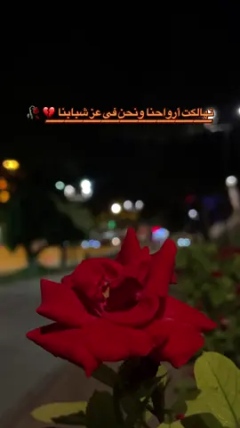 تهالكت أرواحنا ونحن في عز شبابنا 💔 🥀#تصويري📷 #عبود🍁📸 #قونيا________________قونيا😌💙 #عباراتكم_الفخمه📿📌 #اعادة_النشر🔃 