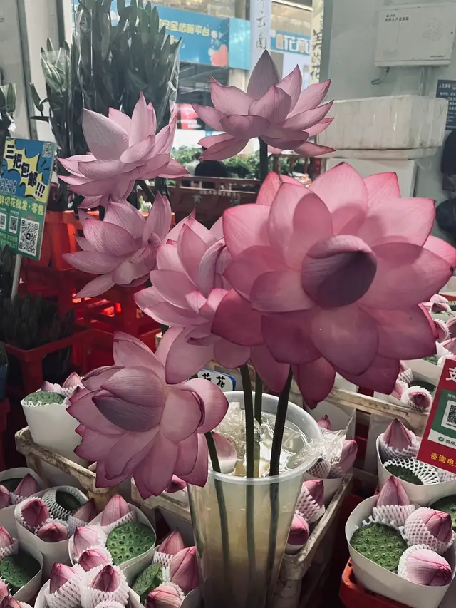 #fbtxuhuong #xuhuong #phatdaydieuhay 