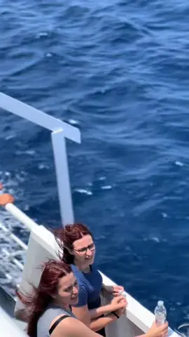 #growmyaccount #🇬🇧🇬🇧🇬🇧✈️✈️✈️🇨🇰🇨🇰🇨🇰😍☀️👌🏻🇮🇹 