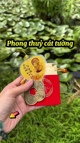 Phong thuỷ cát tường, đồng xu hoa mai và lá bồ đề 12 con giáp #xuhuongtiktok #xuhuong #dongxuhoamaikimtien #ruavang #labode12congiap 
