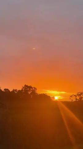 #sunset #australia #nature #sunsetlover 