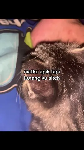 #fyp #galaubrutal #foryoupage 