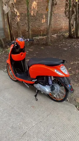 #CapCut #togegarage #scopy 