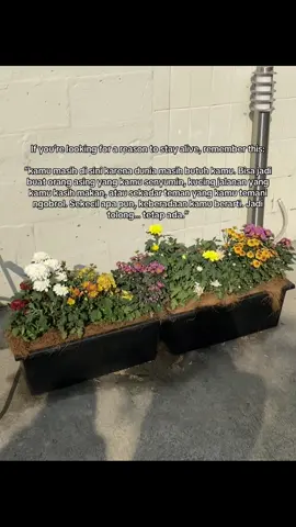 A gentle reminder 🫶🏻