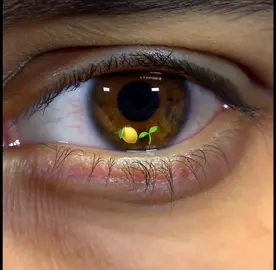 it was supposed to be his time…. #tyresehaliburton #haliburton #nbaedits #basketballedits #indianapacers 