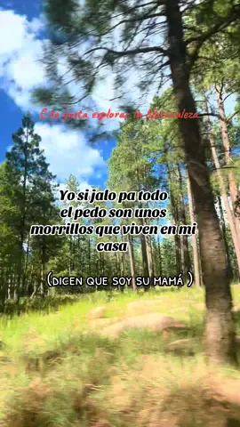 #seaguantan #🤣🤣🤣#parati #fyp#sinseñal no hay internet 