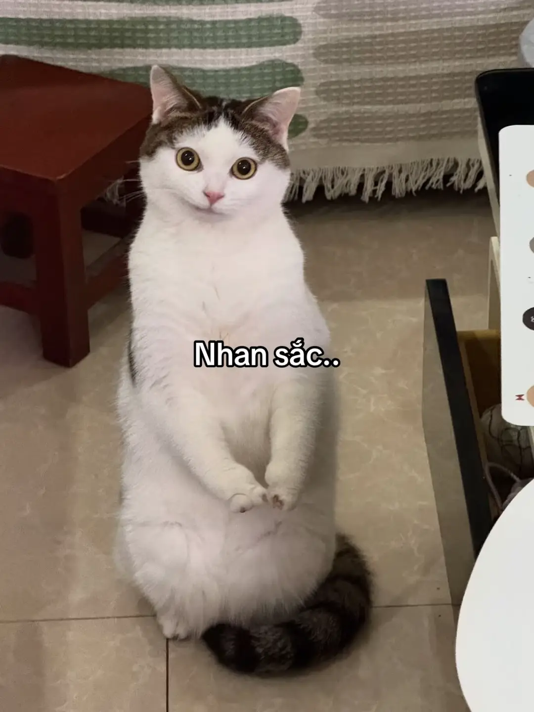 #xinh #tìnhyêu #cuocsong #foryou #xuhuong 